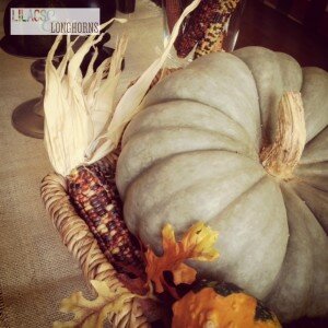 pumpkin and indian corn