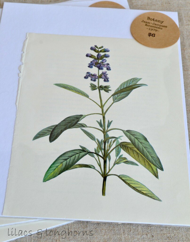 botanical print