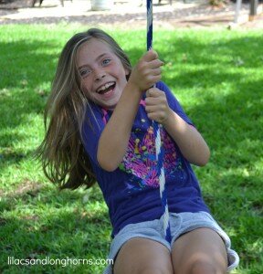 disc swing installed on a tree