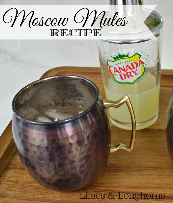 moscow mules recipe_2