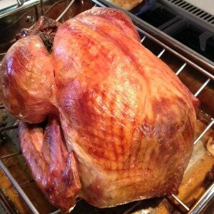 Thanksgiving turkey_2