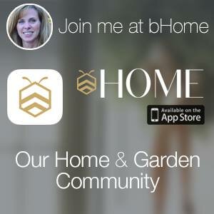 bHome App