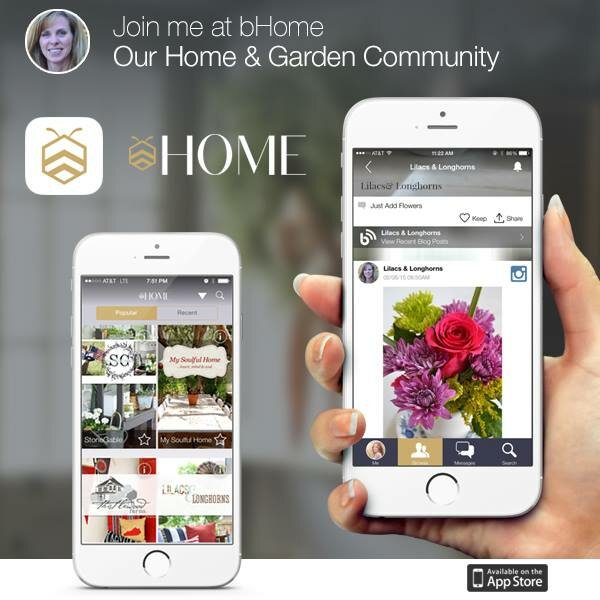 Lilacs & Longhorns on the bHome app