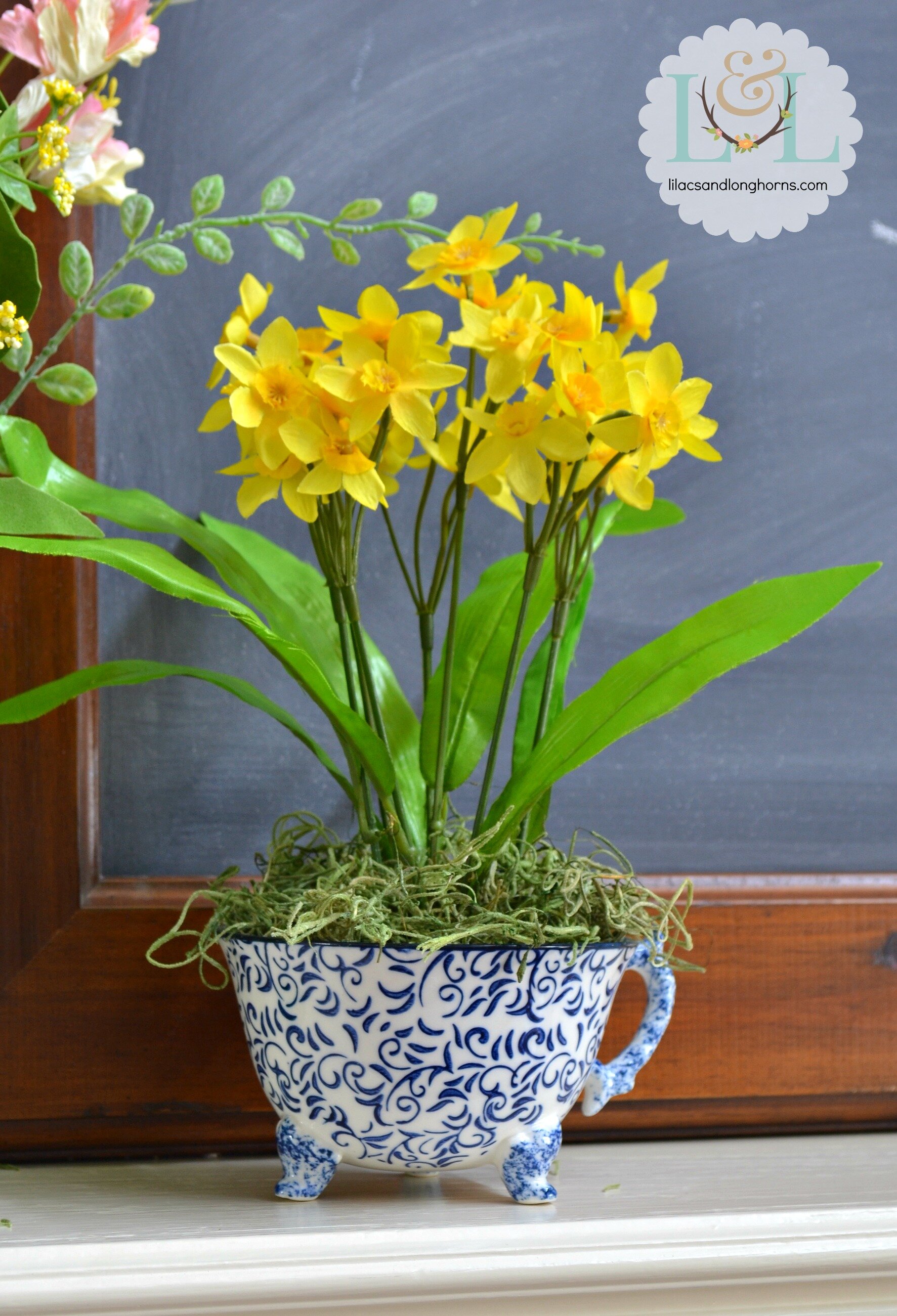 daffodils in a tea cup