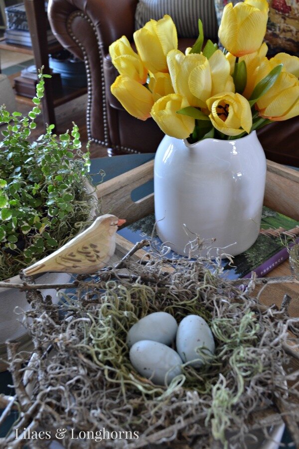 nest with eggs and bird