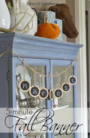 5-minute fall banner / Lilacs and Longhorns